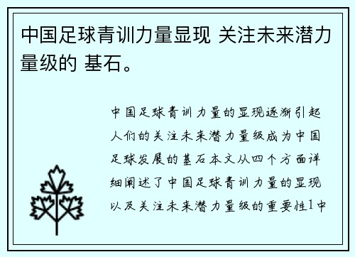 中国足球青训力量显现 关注未来潜力量级的 基石。